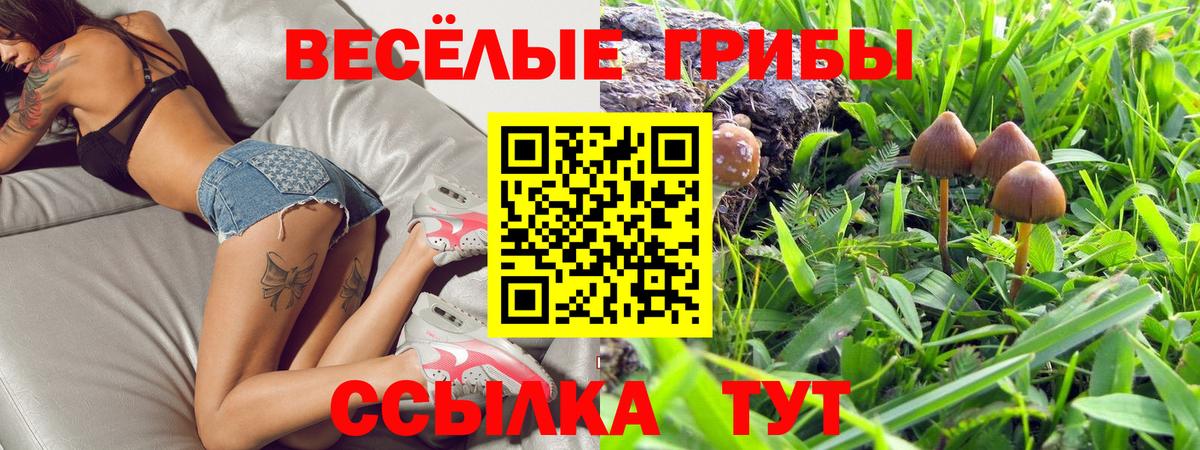 Галлюциногенные грибы Psilocybine cubensis  купить  сайты  Орск  Вход с VPN 